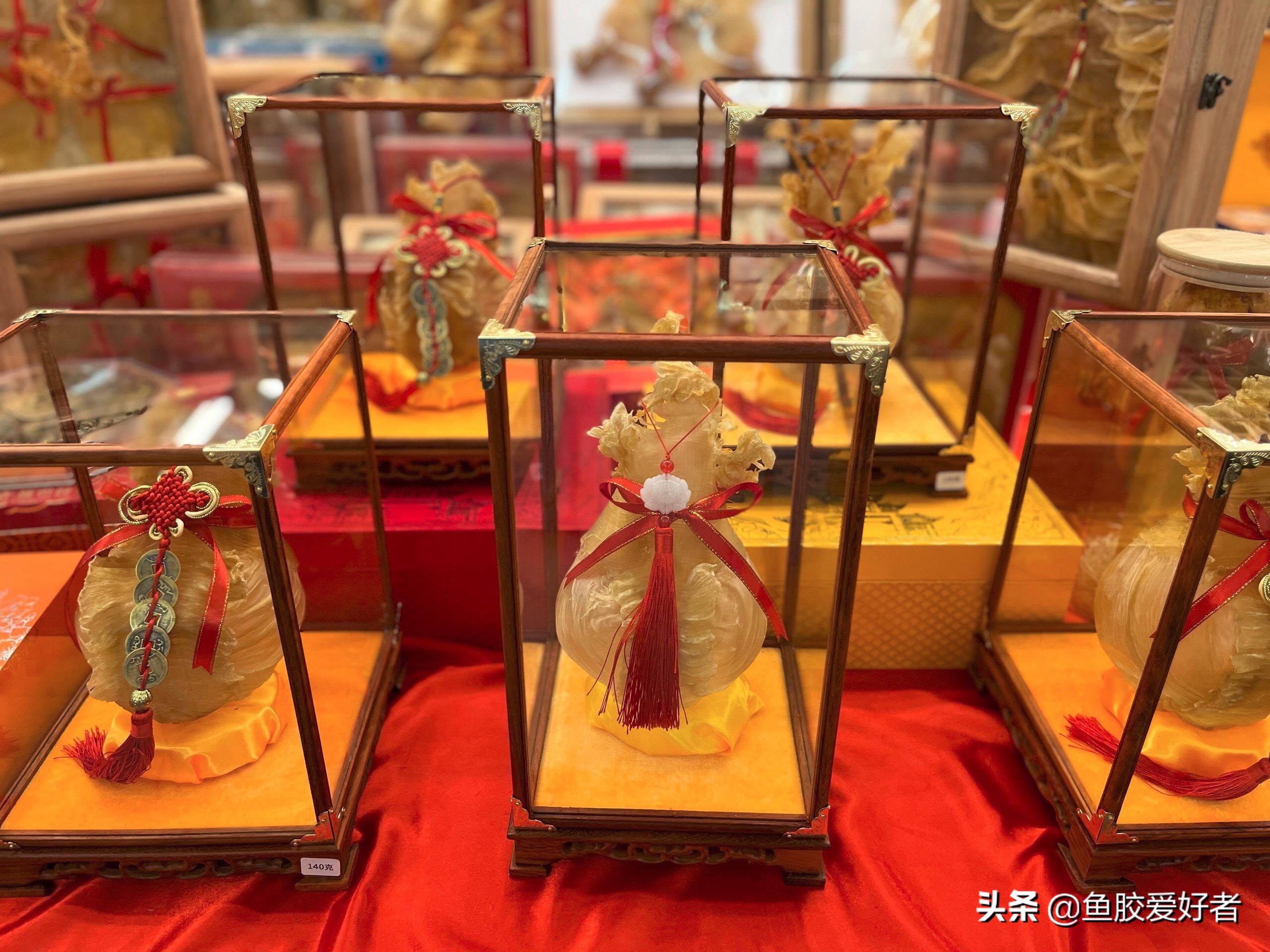 白花胶和赤嘴胶哪个好,白花胶和赤嘴胶比较