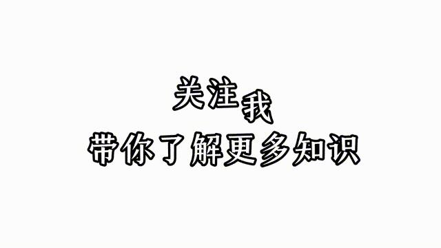 挖元宝赚钱的小游戏,挖宝赚钱小游戏