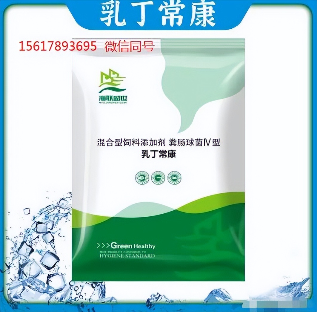 养水蛭用什么药预防得病,水蛭肠炎防治方法