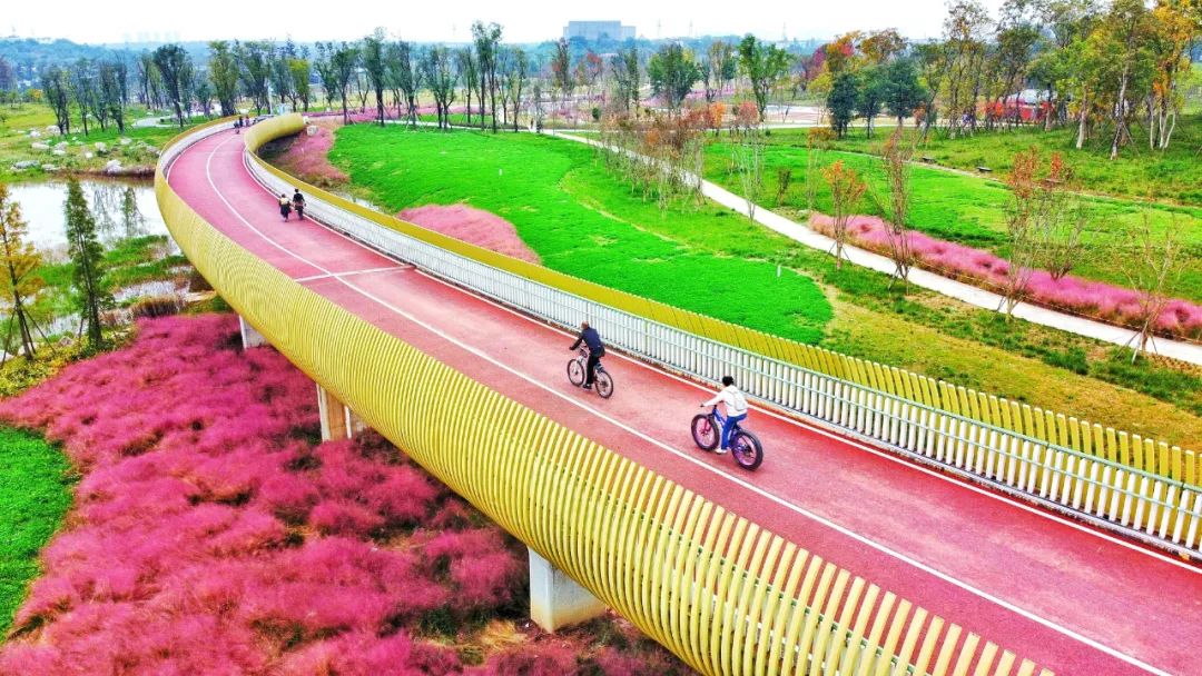 寻找第200万用户！践行低碳的你很棒！