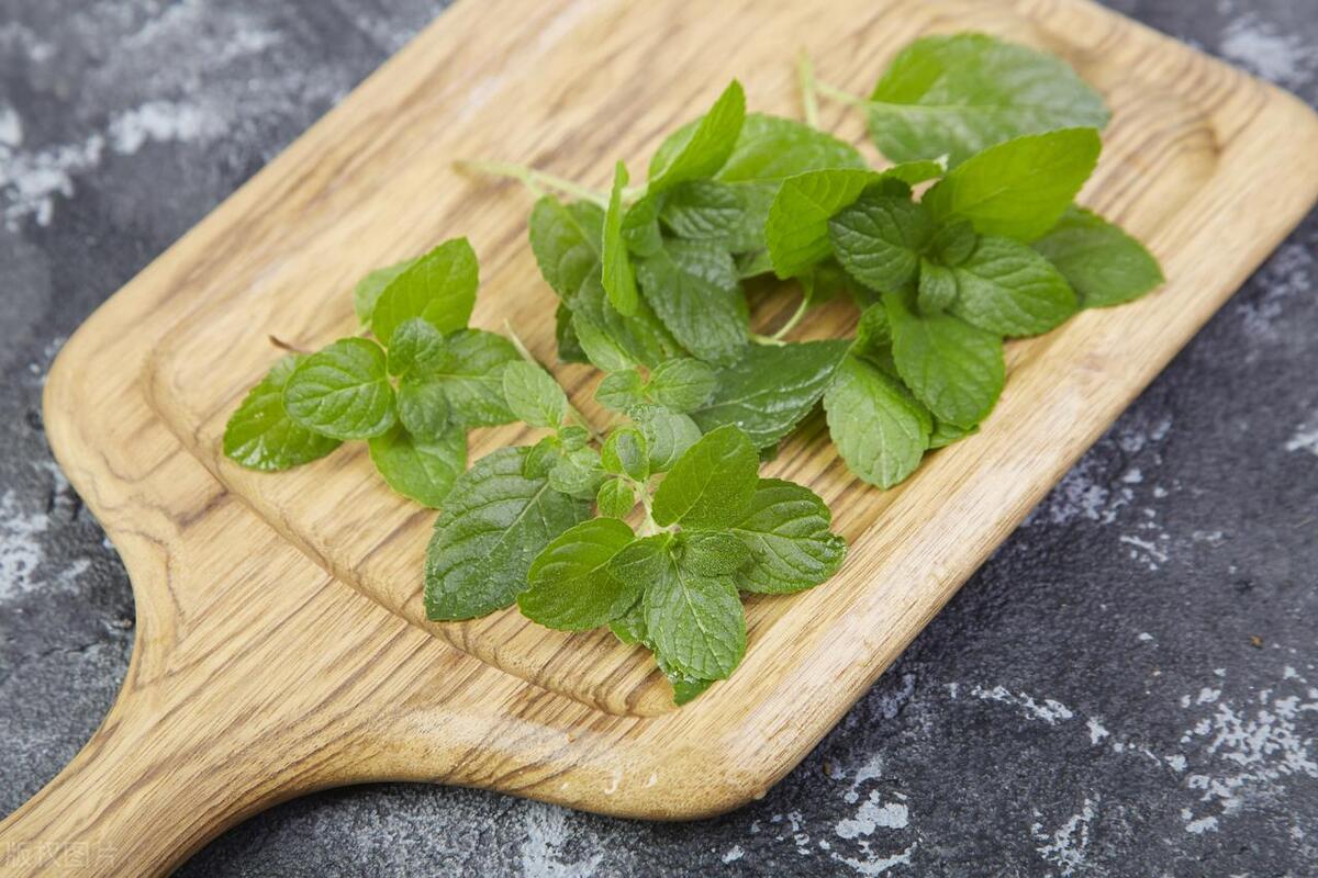 薄荷有虫如何除去,薄荷有小白虫还能吃吗