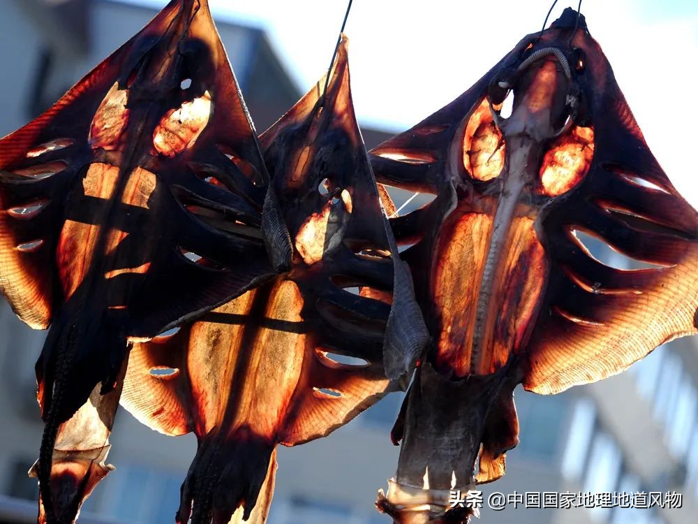 咸鱼最火地图,闲鱼攻略图