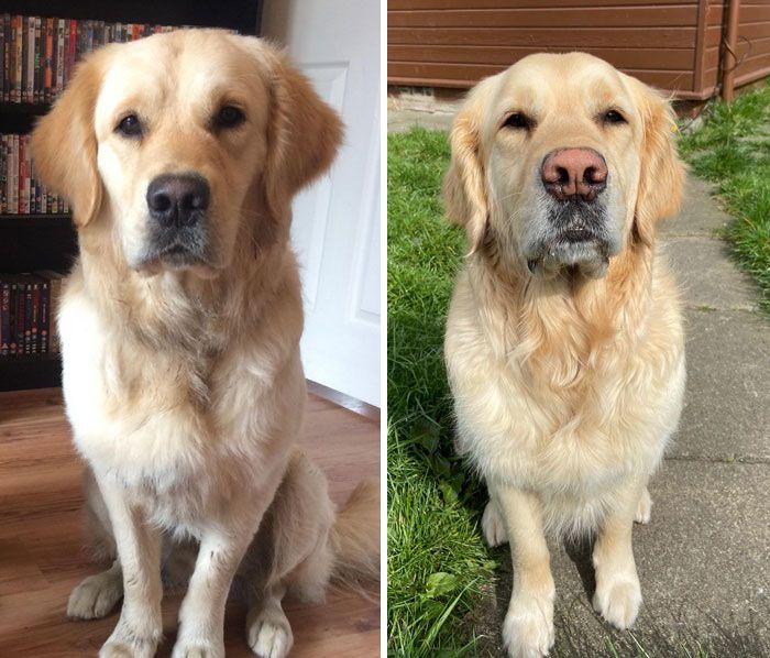 展示时间的画面的钟,展示时间的视频