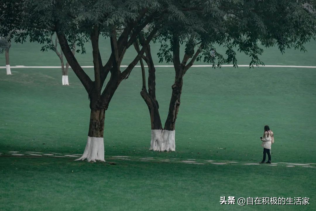 精质而纯粹,保亿中央润园,在细节里见真章