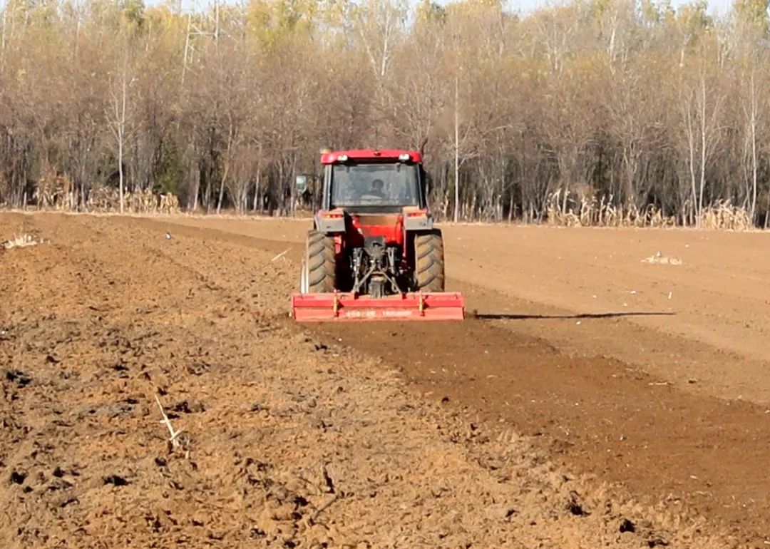 顺义区1家单位和2人荣获2022年北京市农民增收典型案例和致富能手