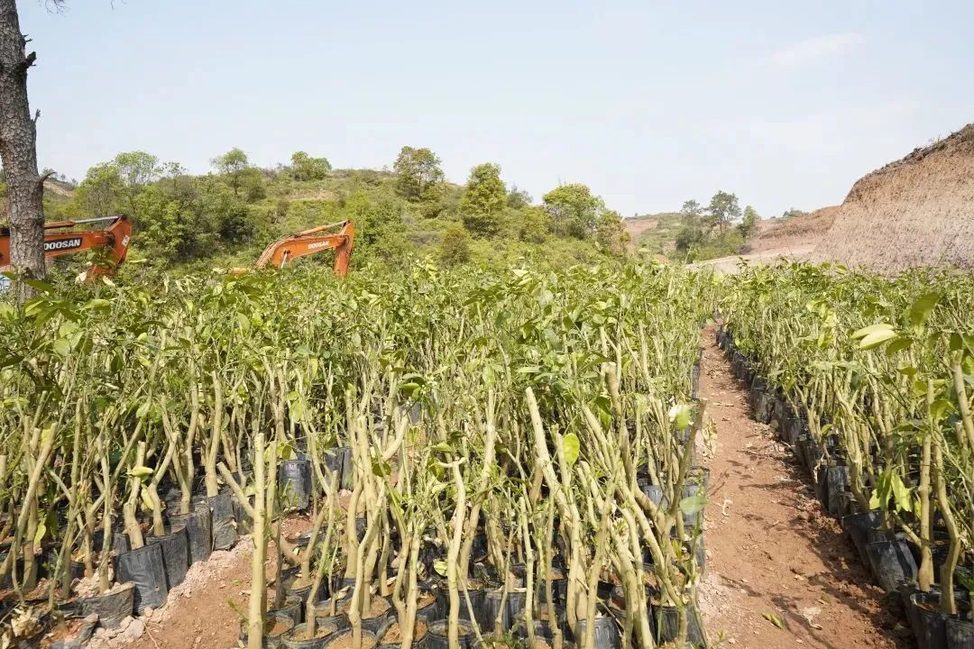 总投资350亿元的两大项目落户惠州,总投资30亿落户南丰