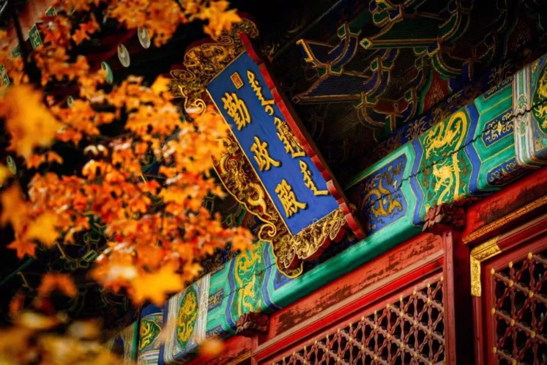 一入秋北京就变成了北平原文,一入秋北京就成了北平是谁说的