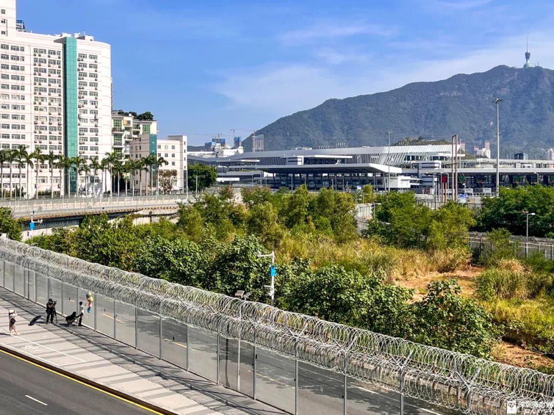 封关600天，他们在深港边境团聚，相隔97米