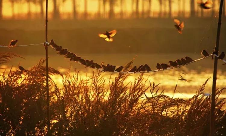 一个摄影师的作品合集,中国拍古建筑的摄影师