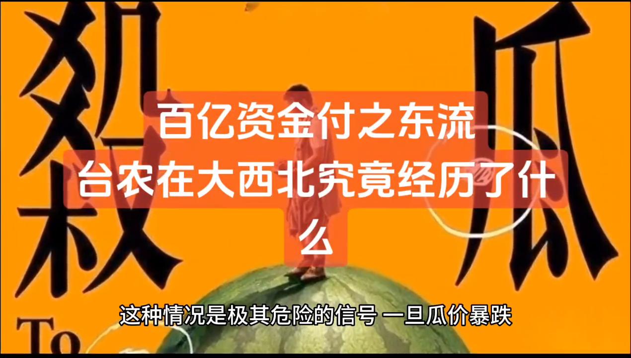 农业亏损1000万怎么办,台农创业现状如何
