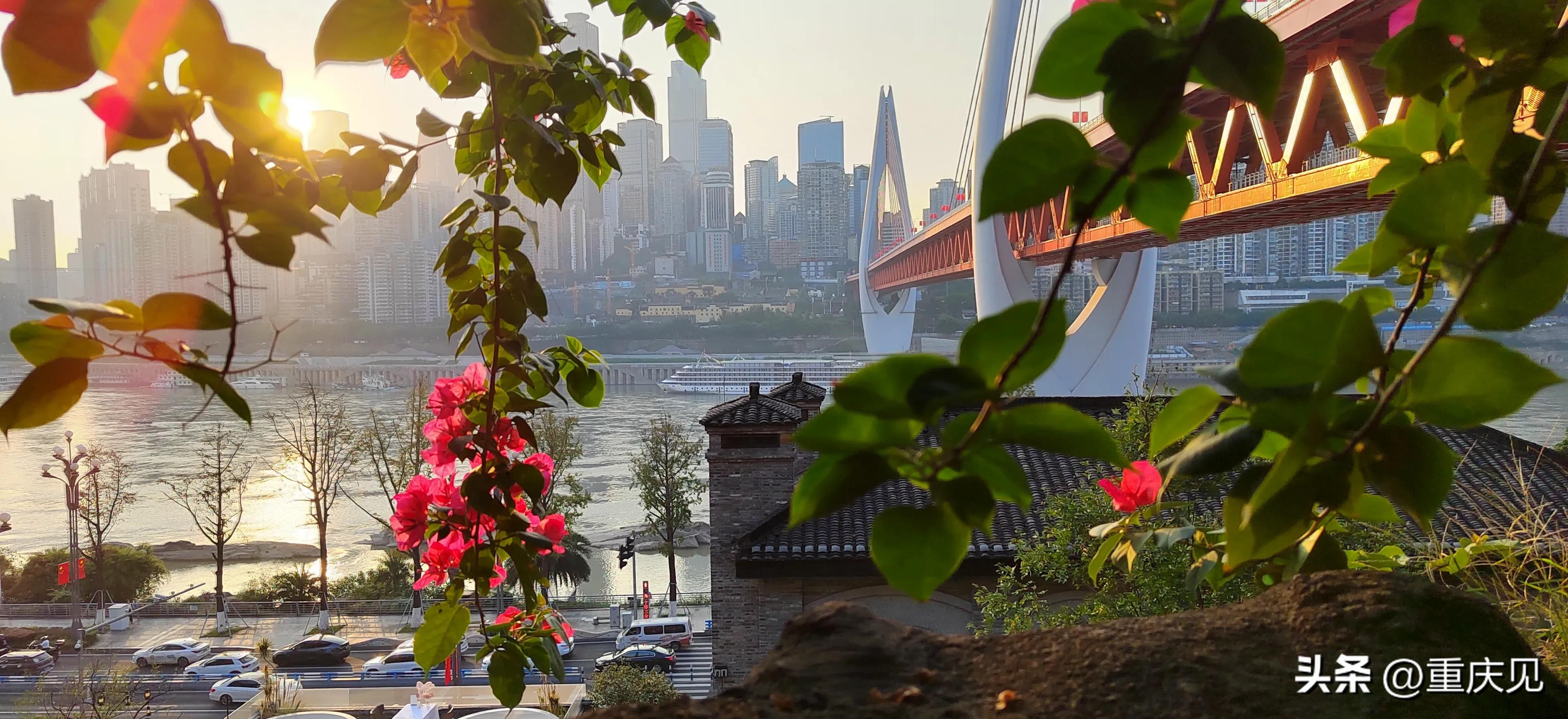 重庆可靠的牙科诊所都有哪些,好牙科诊所