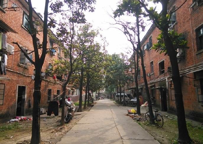 一场惊心动魄的篮球赛,一场别开生面的篮球赛作文