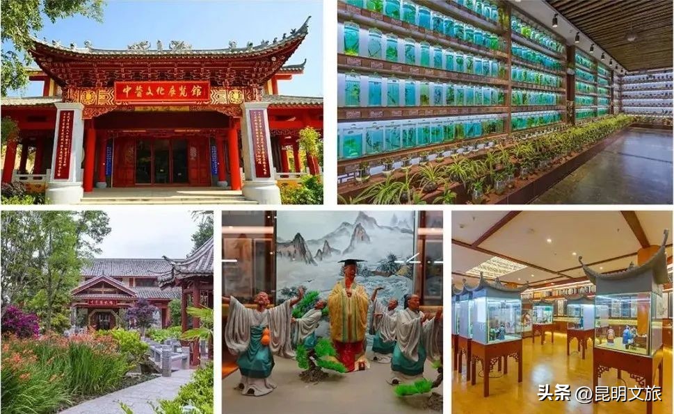 昆明一日游小众打卡景点冬天,小众的昆明周边度假景点