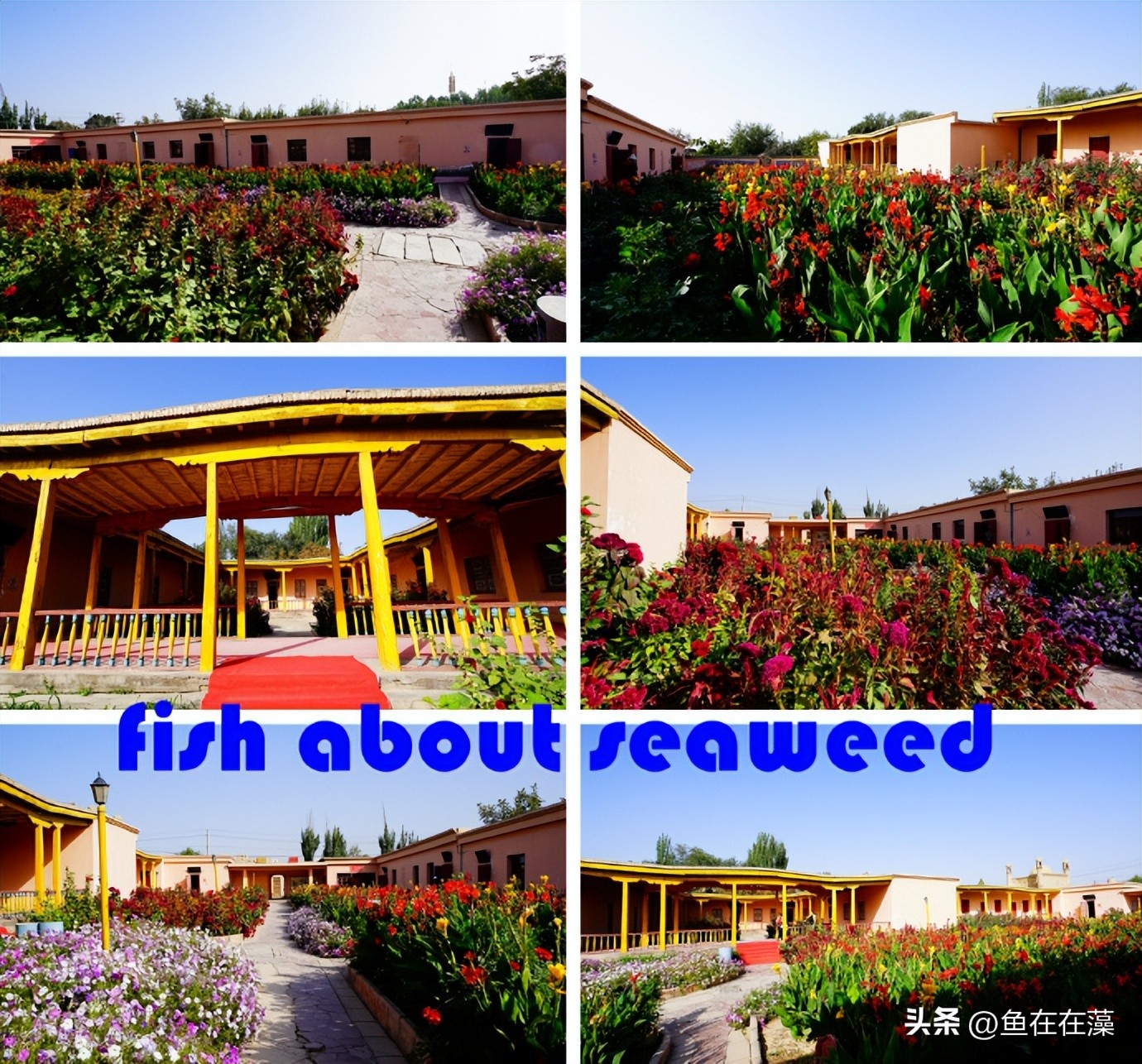 55西进西域·新：库车王府，龟兹文明的橱窗；清代边疆政策范本