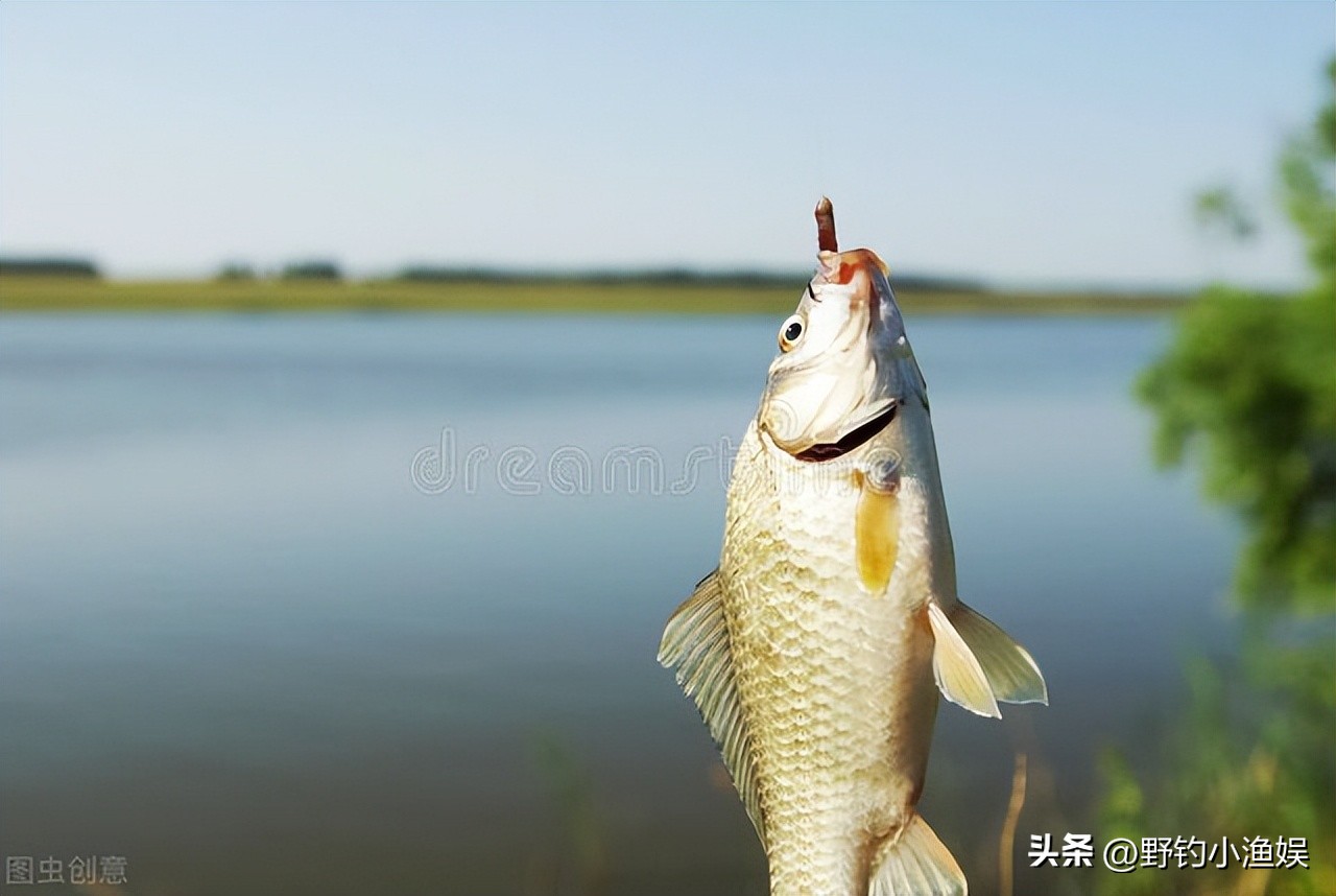 鱼竿上用的缠把带,500以内鱼竿有必要用缠把带吗