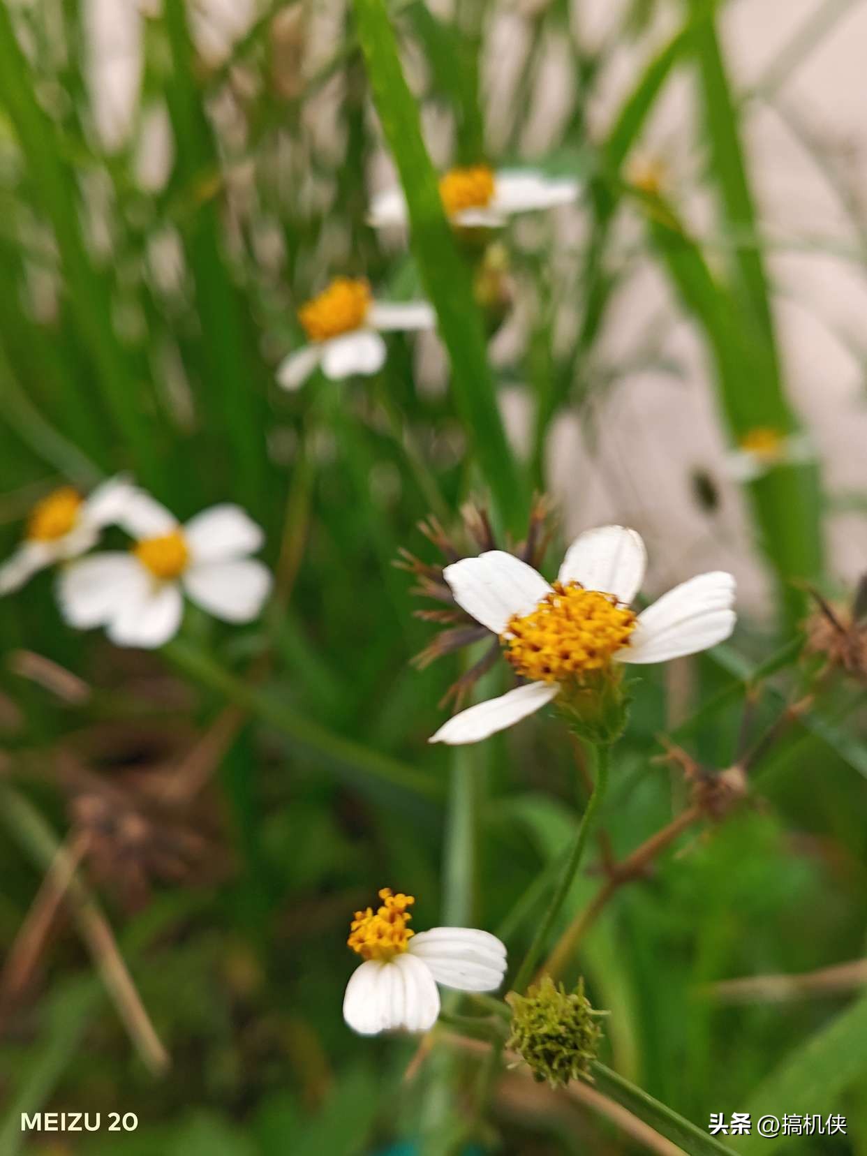 还是那个扣细节的魅族，Flyme带来不一样的体验，魅族20上手实测