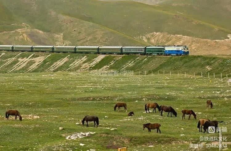 铁道兵诗歌朗诵聚会,铁道兵诗歌朗诵