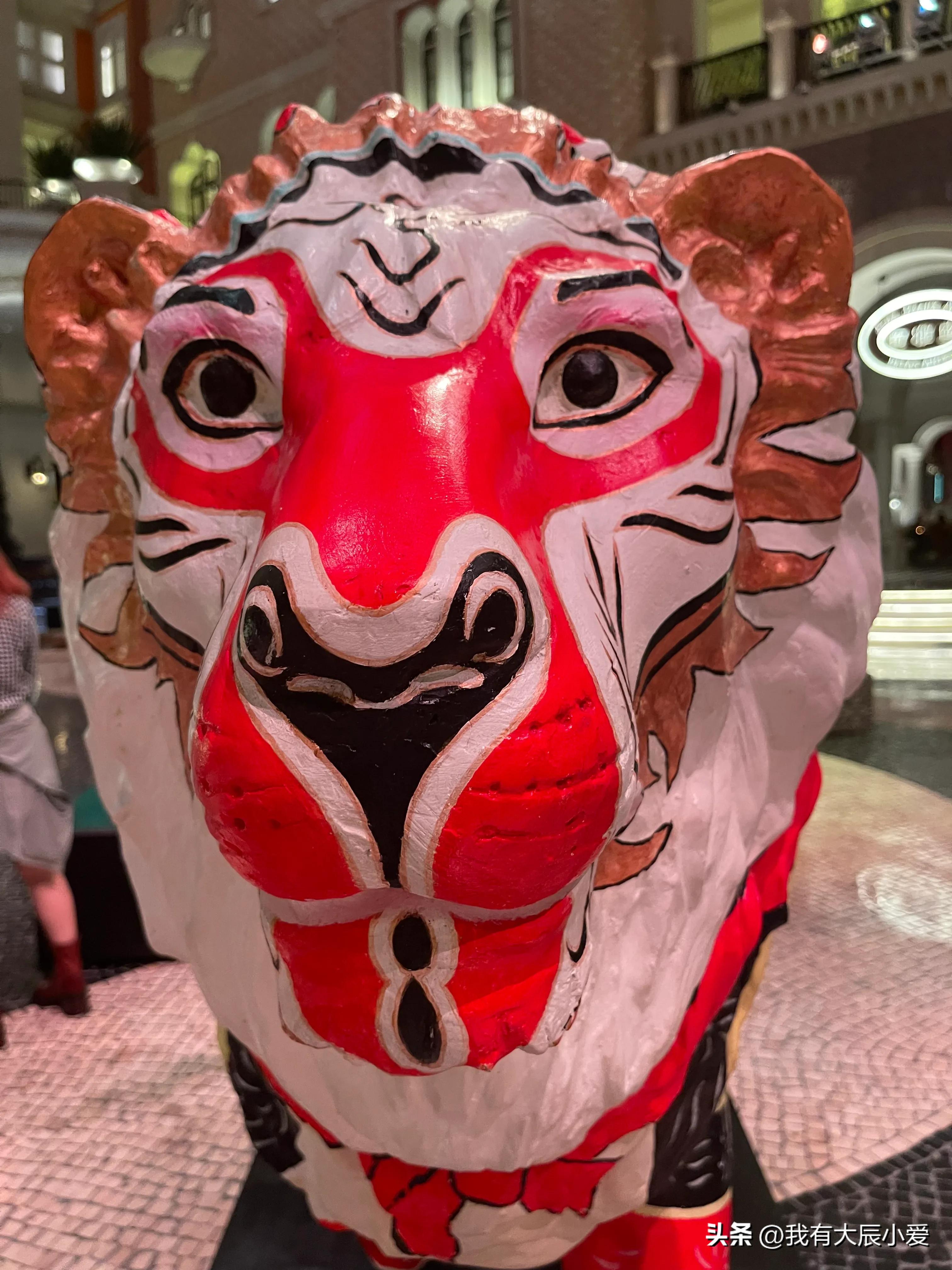 去澳门带小孩攻略,带娃去澳门好玩吗