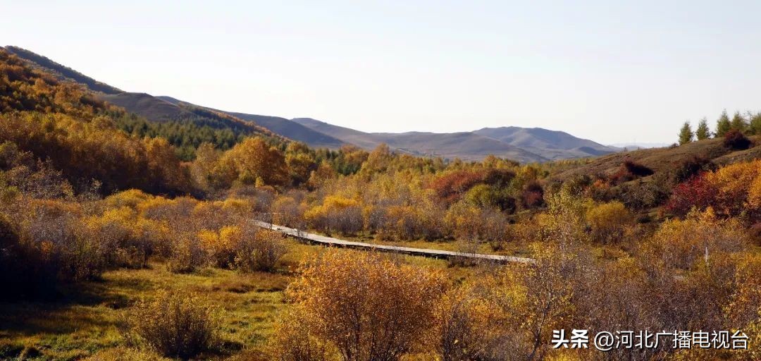 十月中旬去承德旅游,承德坝上十月一旅游攻略