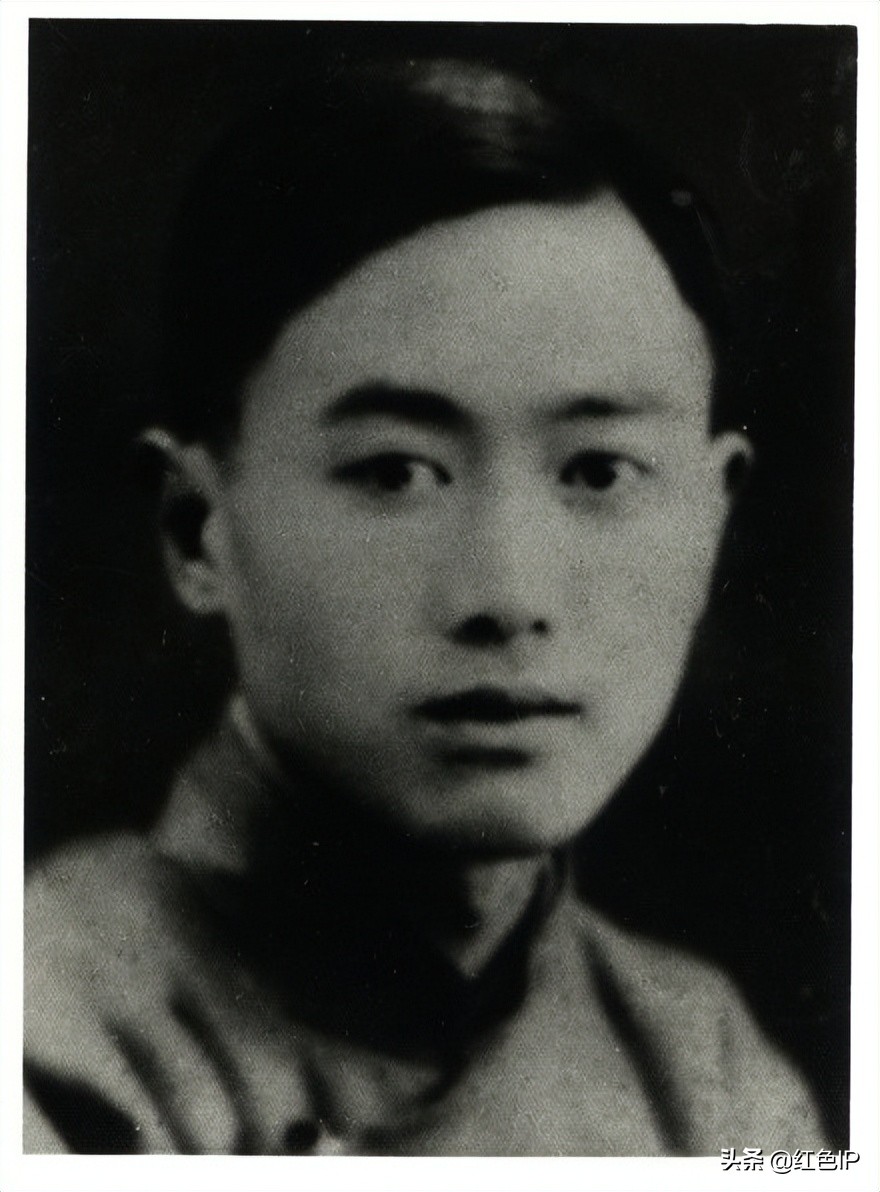 战斗在敌人的心脏电视剧,战斗在敌人的心脏里