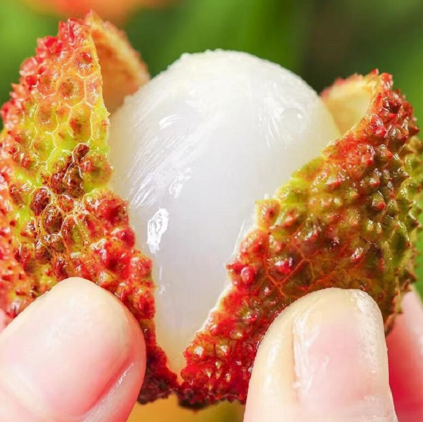 4月底吃哪些时令蔬菜,3月时令水果蔬菜一览表