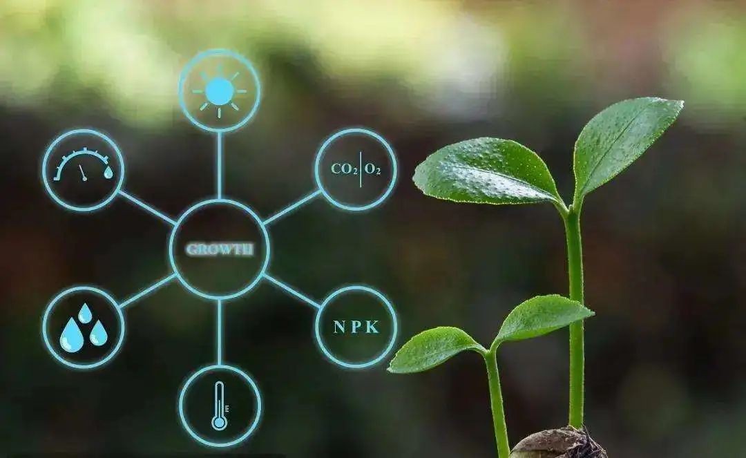 乡村振兴数字振兴包括哪些,乡村振兴受益概念股