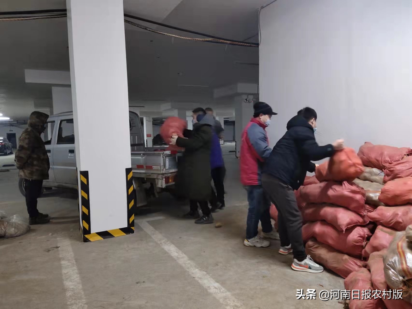 汤阴县城关镇郑秀丽：小个子的大能量，她怀着身孕奔波在抗疫一线