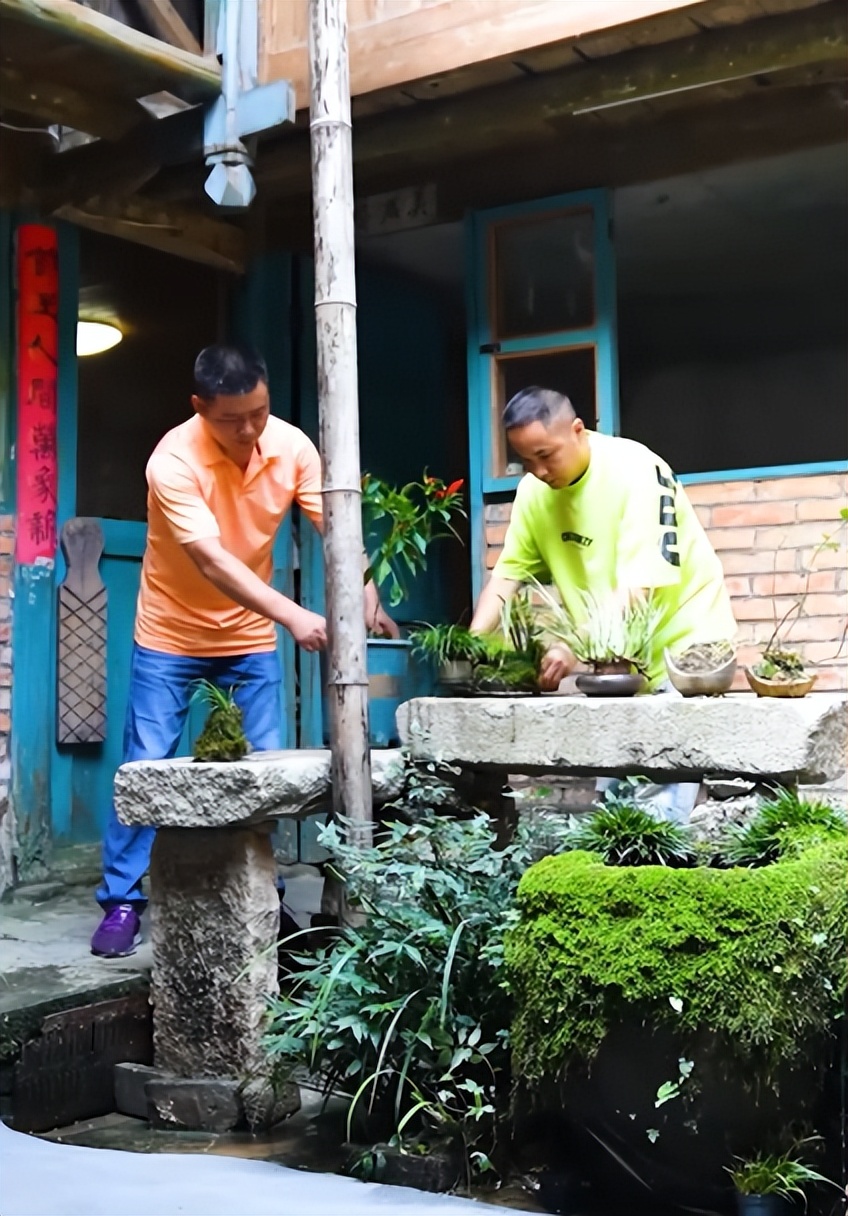 田园风光美丽的农家小院,美丽庭院装点幸福生活