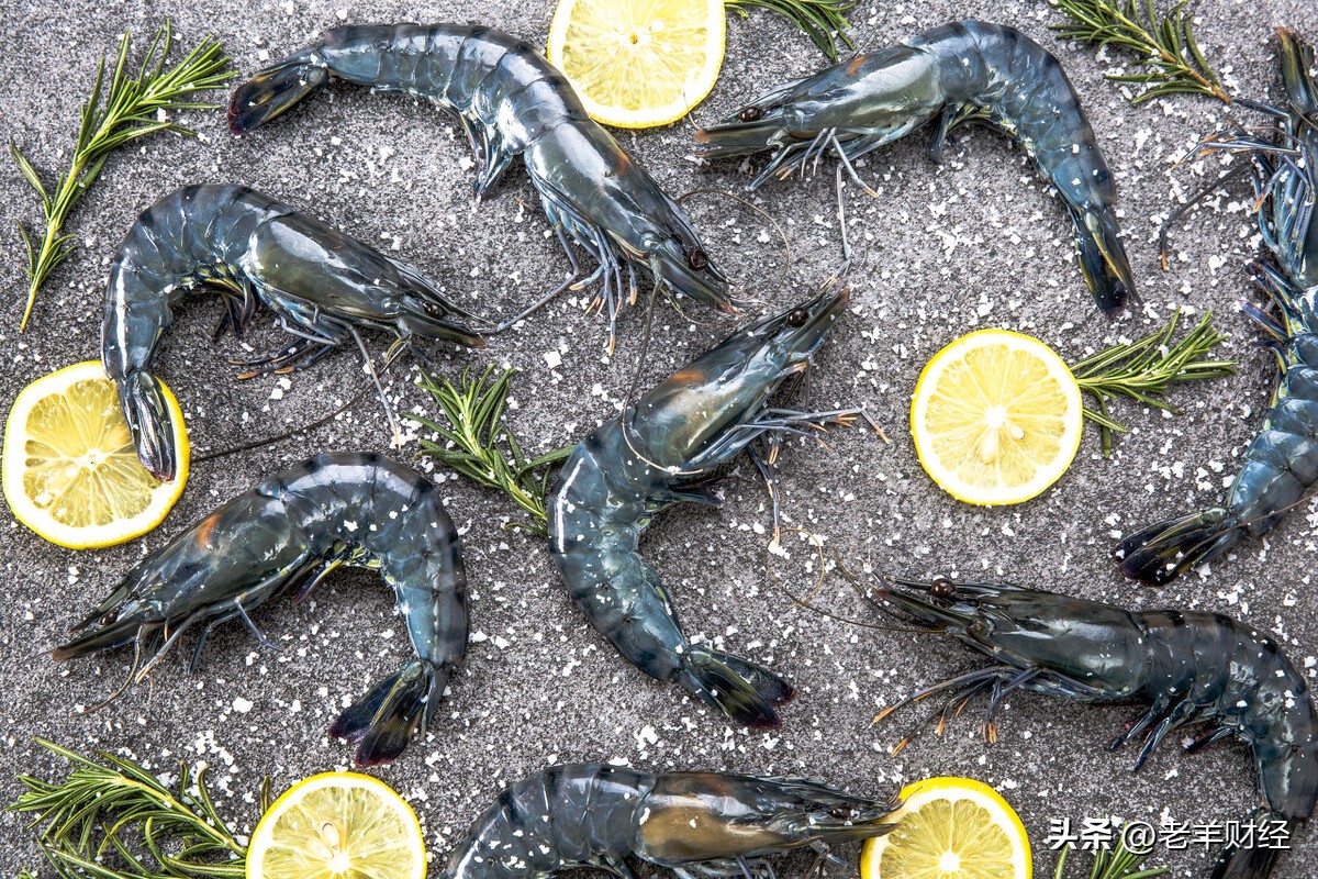 经济学，也是一种后知后觉之学