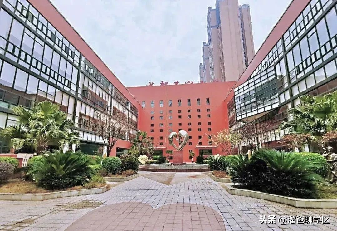 石室教育集团,成都石室中学教育集团学校