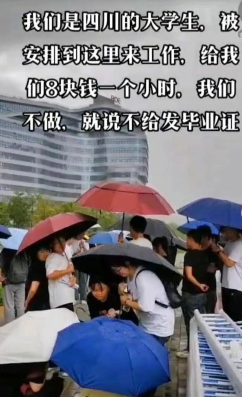 当代社会最廉价的劳动力，9块钱一个小时的“大学生”暑假工