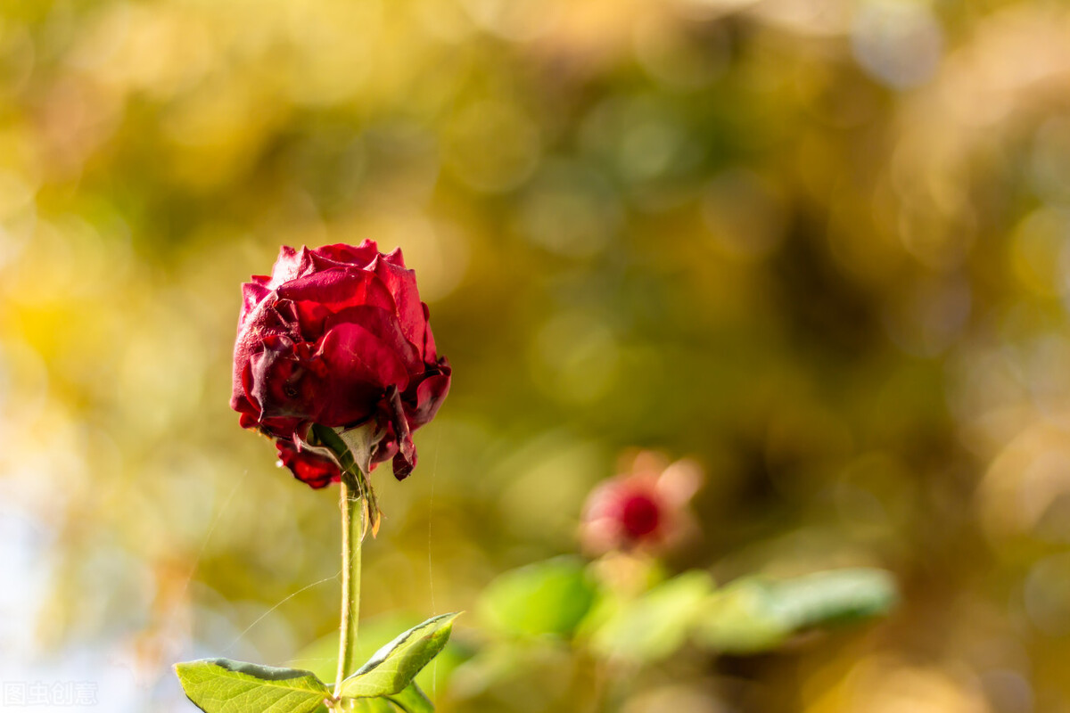 生活无奈又现实的句子朋友圈配图,销售早安朋友圈高质量句子加配图