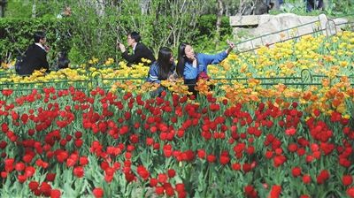 太原五一小长假出游攻略 (太原五一长假攻略)