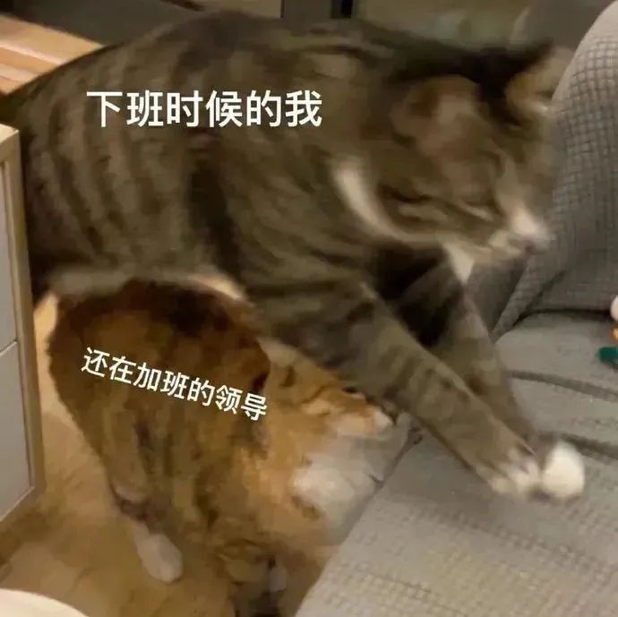 我要打游戏了等一会再聊表情包,不要打扰老子打游戏的表情包