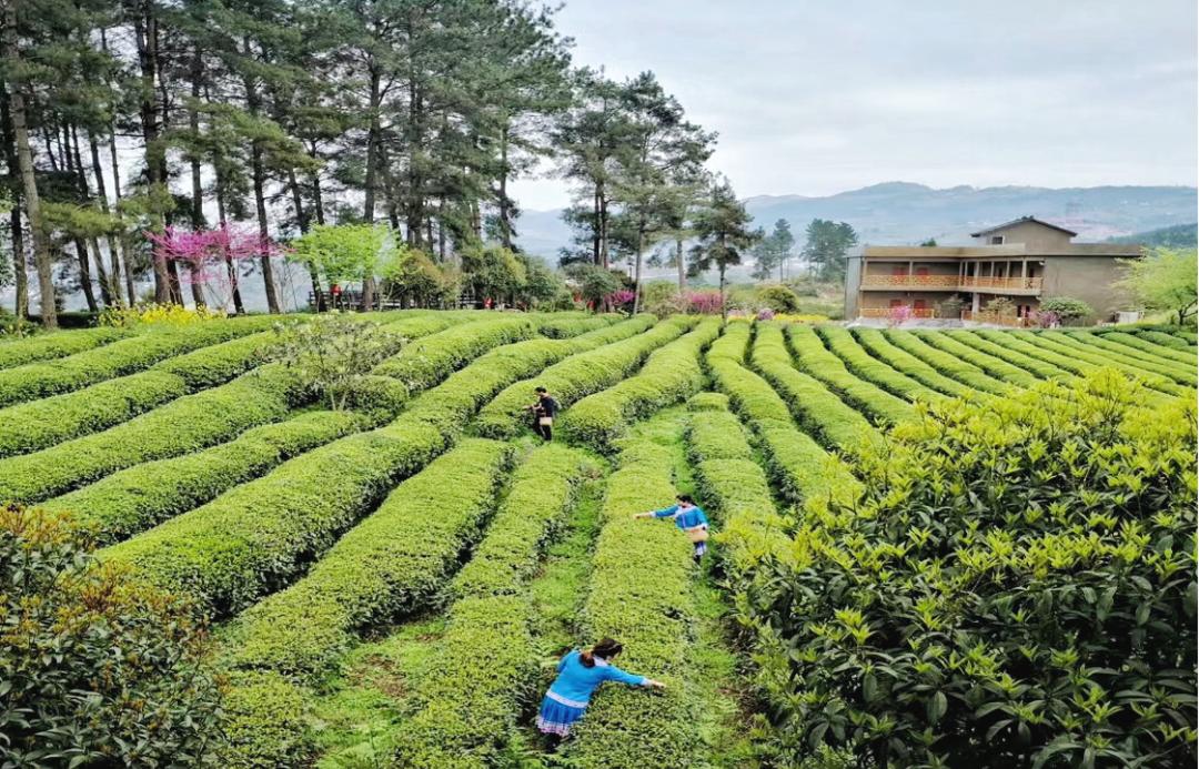 神秘湘西走个春在家吃自助烧烤,神秘湘西走个春