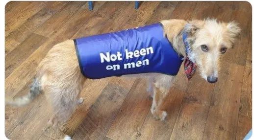 好莱坞模范丈夫被爆大瓜？！出轨99年模特，给孩子取小三的名字…