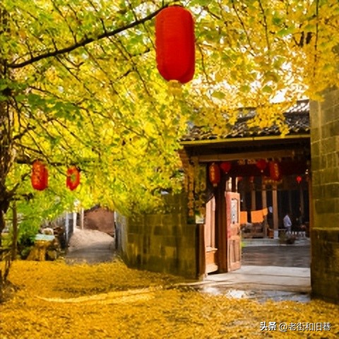 为什么说四季都适合去云南玩,去云南哪个季节去最好玩