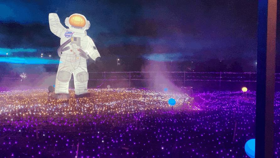 80000万盏霓虹彩灯！浪漫花海、童话世界、打铁花……一起来开启光与影的奇幻之旅吧！