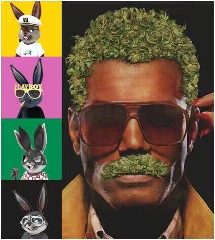 playboy官网入口,playboy登陆中国探索更多可能