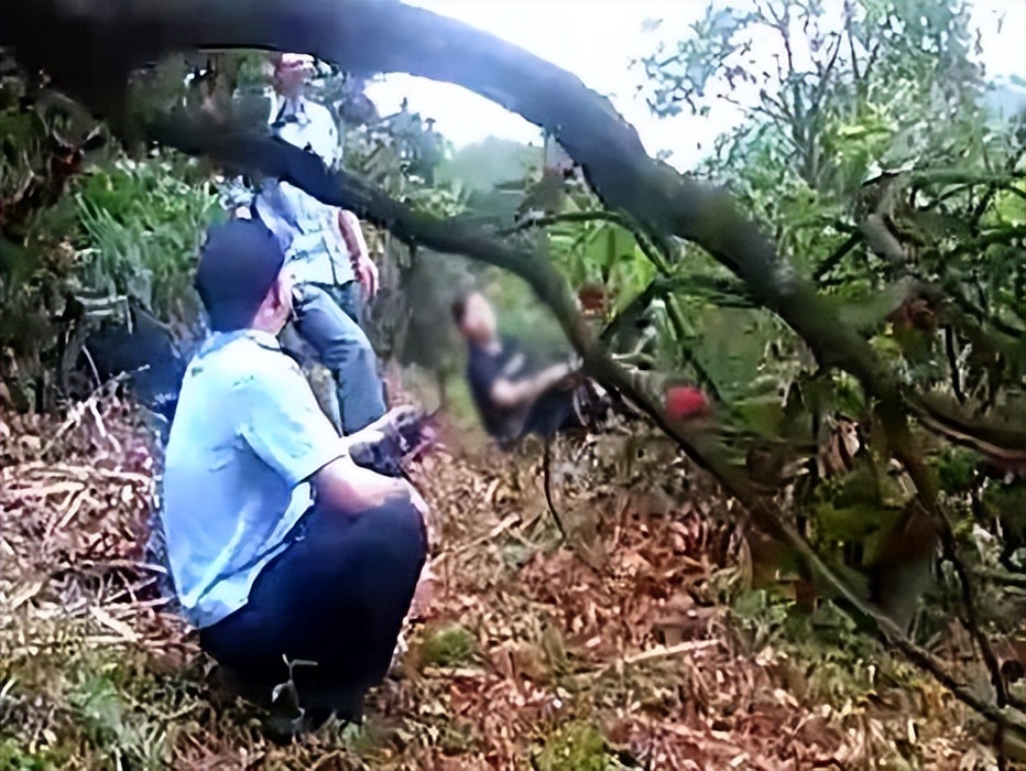 采摘杨梅园有哪些安全提示,余姚杨梅采摘最佳时间