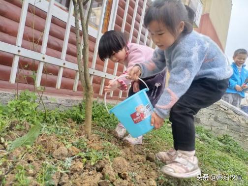 独山县城西童乐幼儿园:“春风十里,绿意萌动”