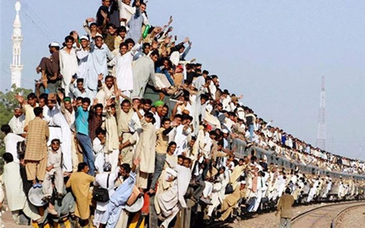 从基础科学看科技创新|老和山下的小学僧