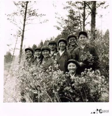 战友作品:“北极”女兵(黄爱明)梅梓祥