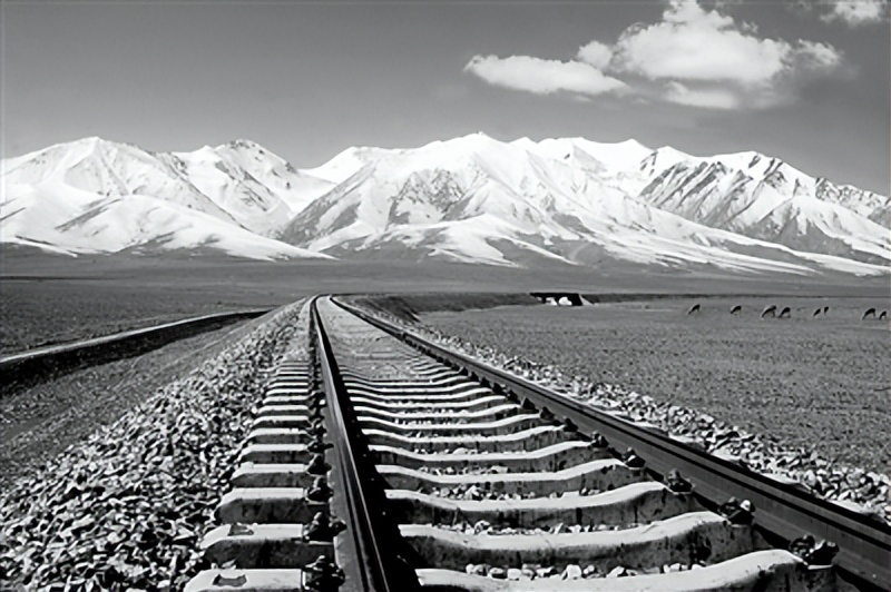 故地重游忆当年,故地重游忆往昔峥嵘岁月稠