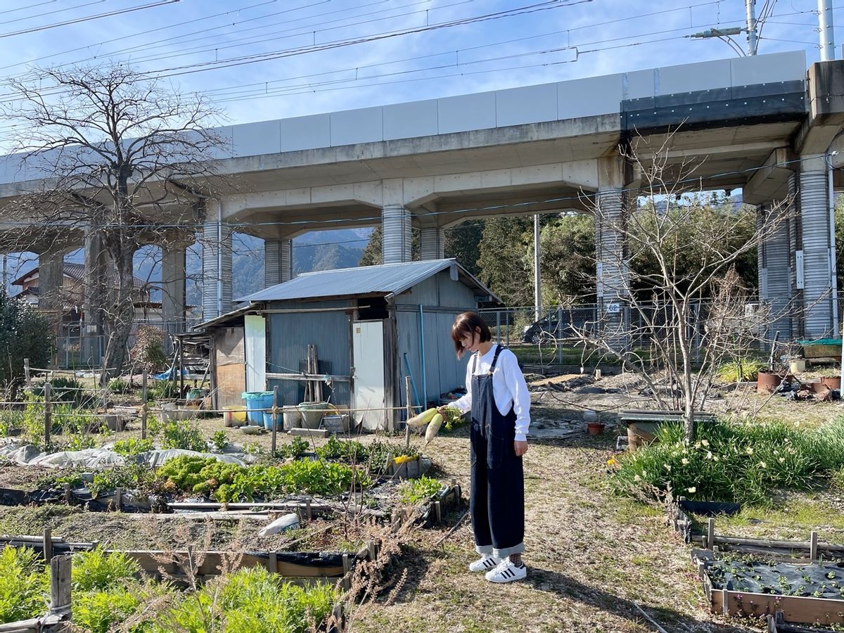 直播带货4小时销售额破4500万,3小时直播带货破5亿