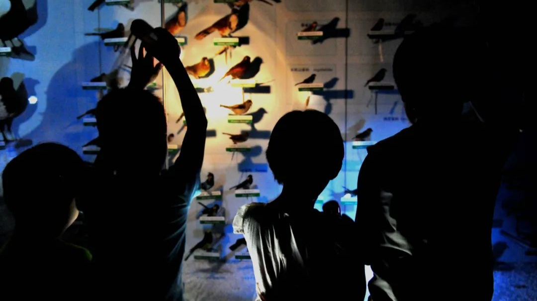 中国古动物博物馆预约公众号,古动物博物馆网上预约门票吗