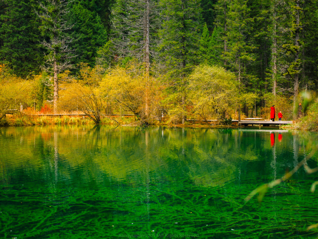 一天来回！别名“小九寨”的油画秋色、高山草甸，一站式游玩到底