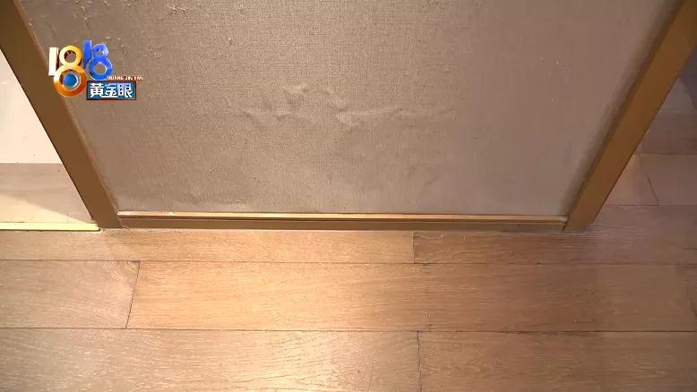 地板一踩就冒水到底哪里出问题,地板一踩就有灰出来怎么办