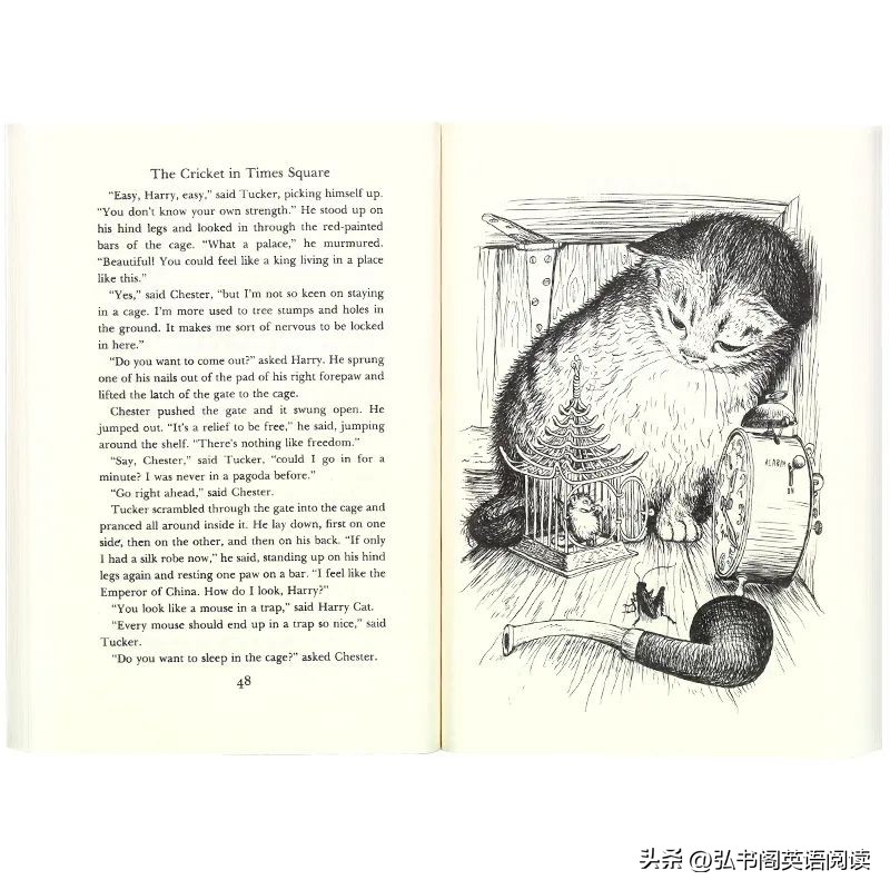 童书奥斯卡,童书大奖作品