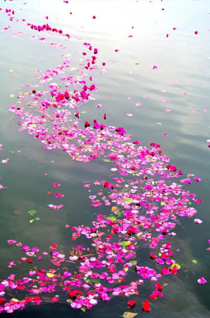 89是一个奇葩的数字，且谈89期双色球之可能